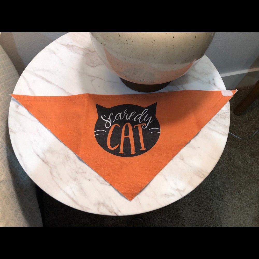 Mud Pie Halloween Cat Bandana